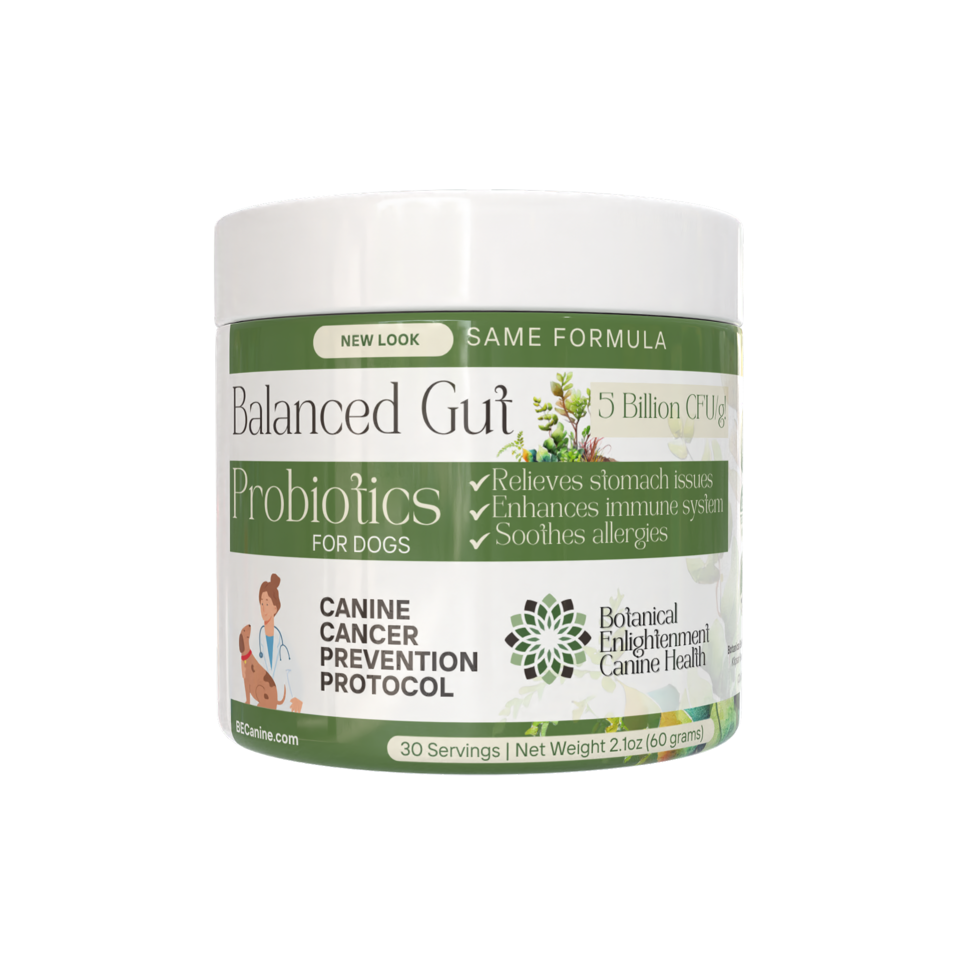 A single green leaf against a white background.