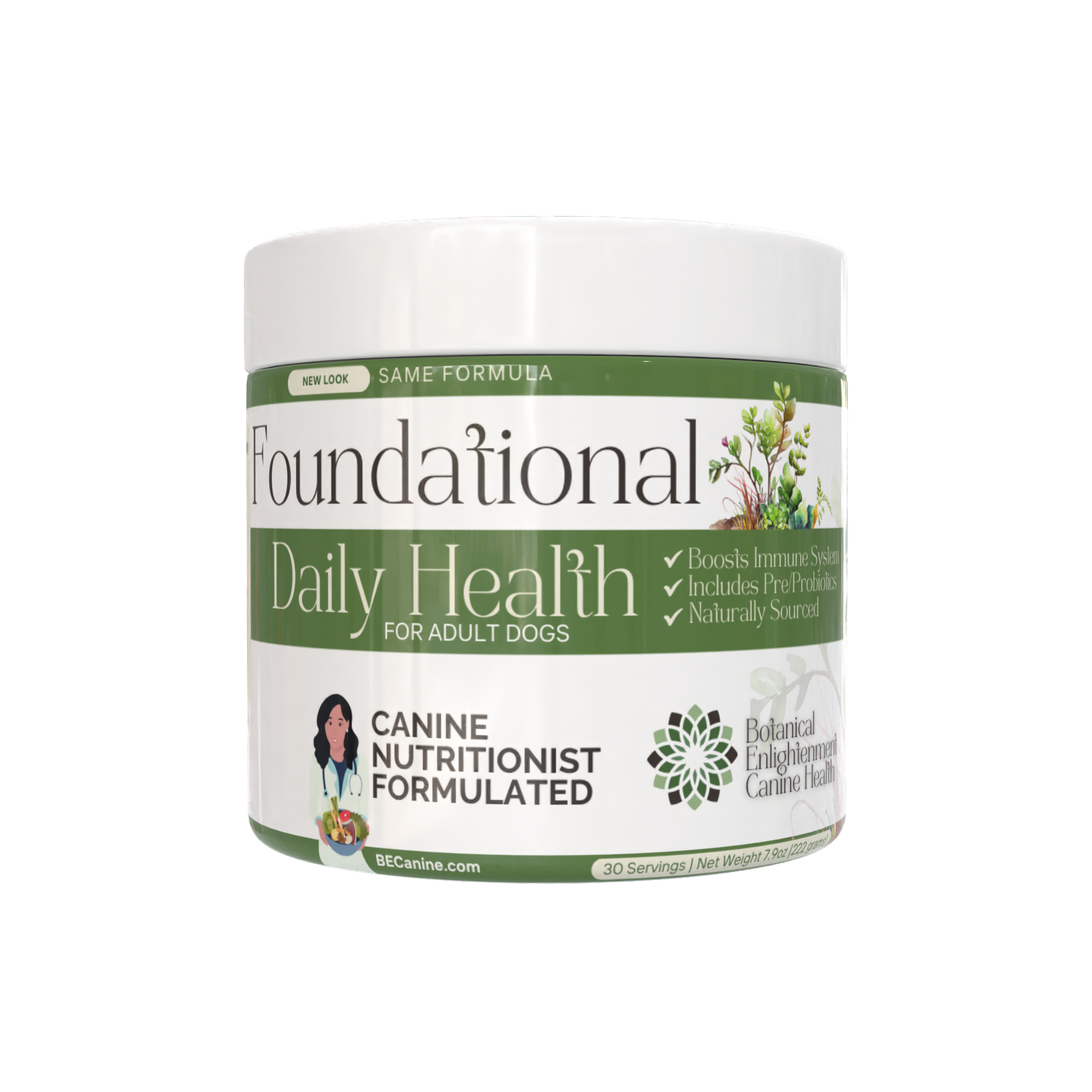 A single green leaf against a white background.