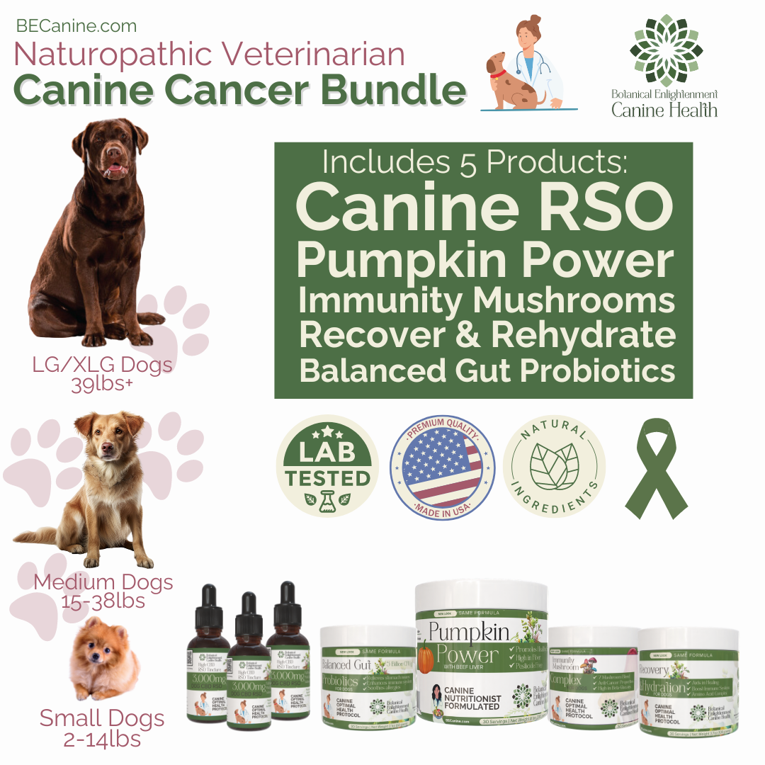Canine Cancer Support Bundle
